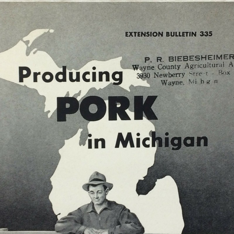 Vintage 1955 Booklet Producing Pork in Michigan By Michigan State University gallery