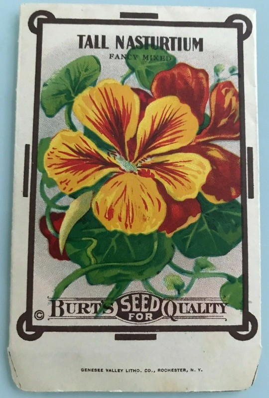 1890-1900 TALL NATURTIUM fancy mixed Graphic Seed packet from BURTS of DALTON NY