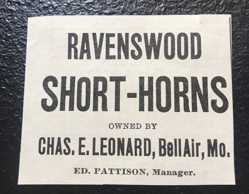 1902 Ravenswood Farm Cattle Advertising - Bell Air - Missouri - Cow