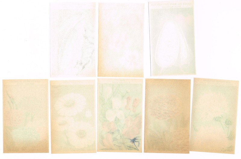 ORIGINAL VINTAGE LOT OF 8 EUROPEAN SEED PACKET LABELS FLOWERS C1910 GARDENING gallery