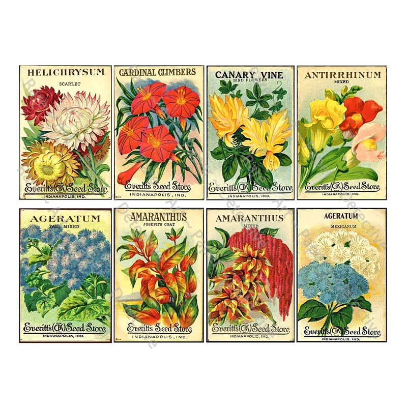 Seed Packet & Gardening Gifts, Garden Sticker Reproductions, Vintage Seed Art gallery