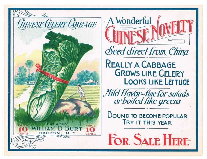 VINTAGE SEED PACKET FLOWERS C1910 GENERAL STORE RARE CHINESE CABBAGE LABEL 5X4″
