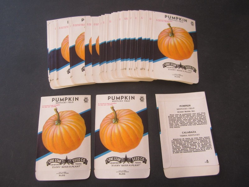 Lot of 10 Old Vintage – PUMPKIN – Kentucky Field SEED PACKETS – Empty