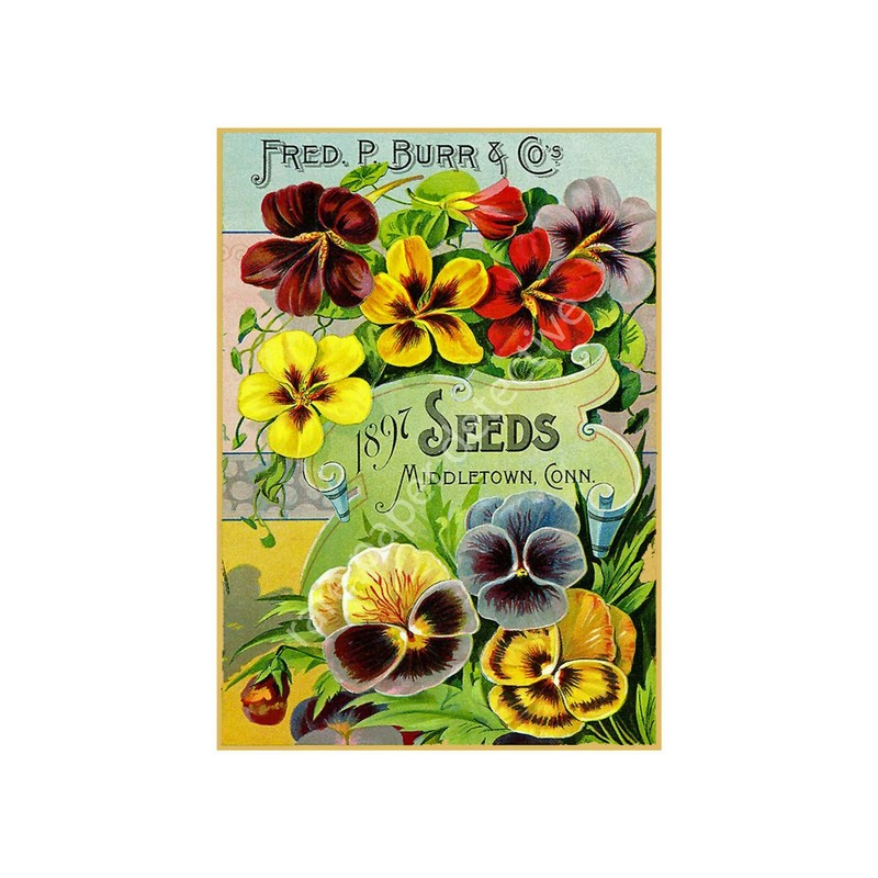 Garden Décor, Antique Seed Pack Style 5″ x 7″ Print, Gardening Gift REPRODUCTION