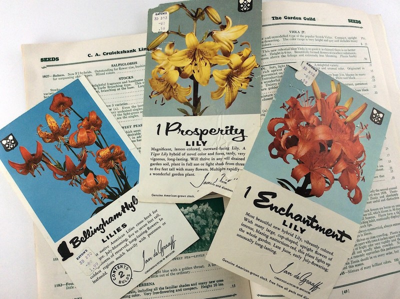 CA Cruickshank Spring 1963 Garden Guild Toronto Ontario Seed Catalog Q358 gallery