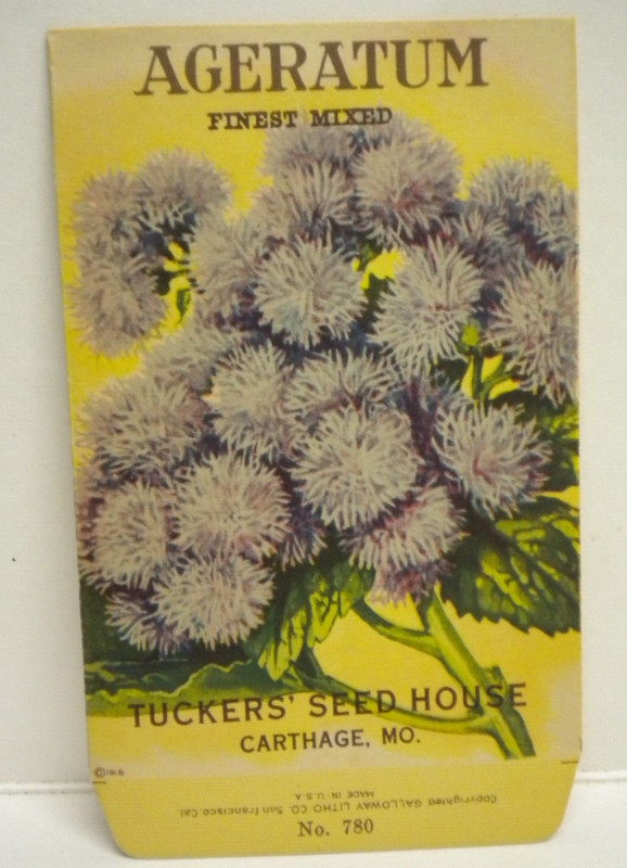 Antique Original 1918 Ageratum Tuckers Seed House Paper Packet Packaging 1900s