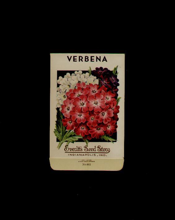 1930’s VERBENA LITHO SEED PACKET- EVERITT’S SEED, INDIANAPOLIS, IND