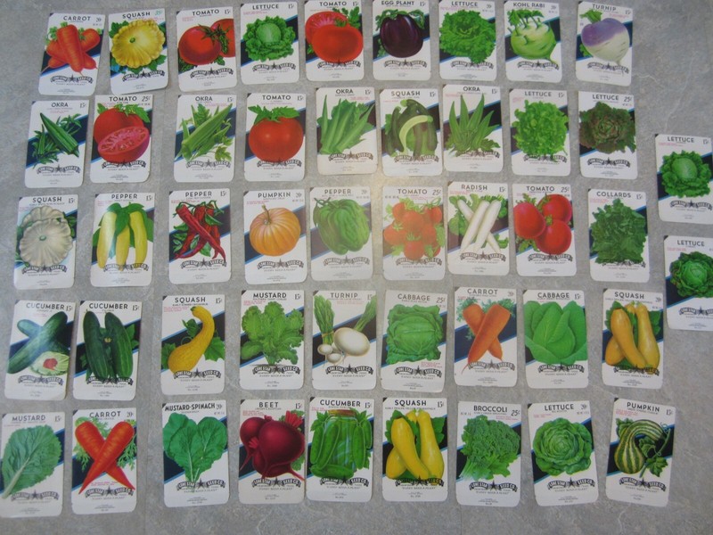 Lot of 47 Old Vintage 1960’s-70’s – VEGETABLE SEED PACKETS – Lone Star – EMPTY