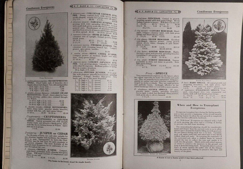 1924 Barr's Nursery Catalog BF Barr Lancaster Ornamental Trees Shrubs Perennials gallery