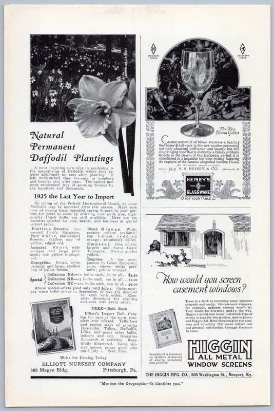 1925 Elliott Nursery Vintage Ad Pittsburgh PA Daffodil Bulbs Flowers Plants