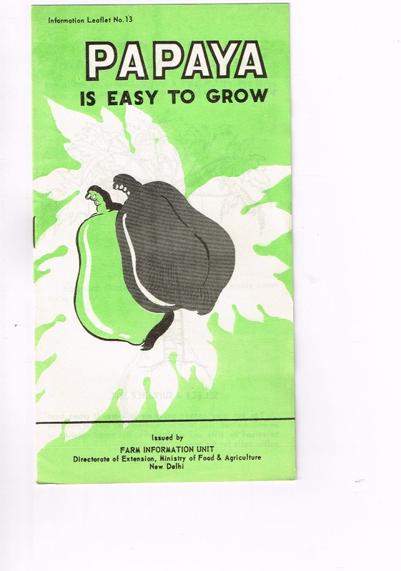Vintage Farm Brochure New Delhi India PAPAYA Is Easy to Grow