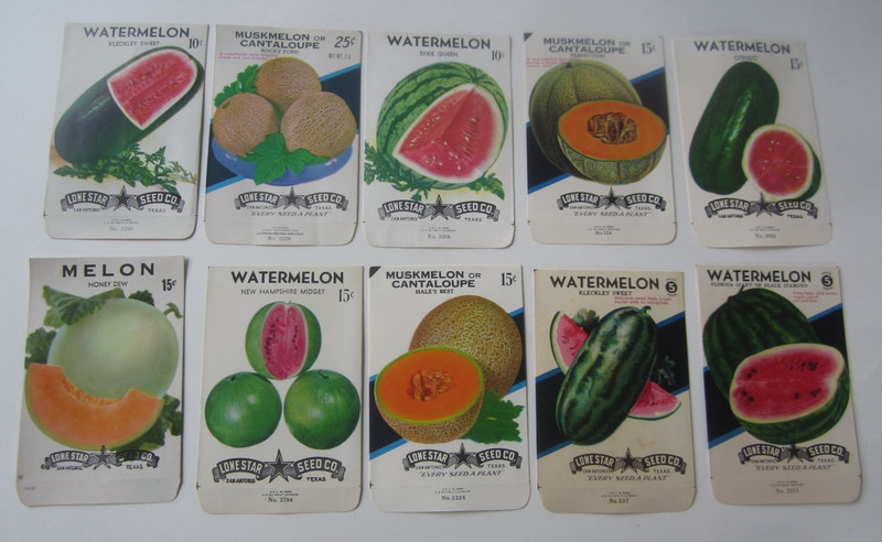Lot of 10 Old Vintage – WATERMELON & CANTALOUPE – Melon SEED PACKETS – EMPTY
