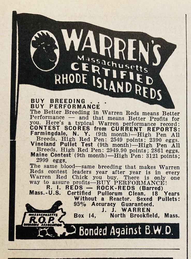 1948 AD.(XH86)~WARREN’S MASS. CERTIFIED RHODE ISLAND REDS, NORTH BROOKFIELD, MA.