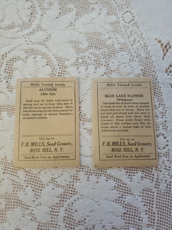 2 Vintage Antique F. B. Mills Flower Seed Packets Alyssum Blue Lace Sealed