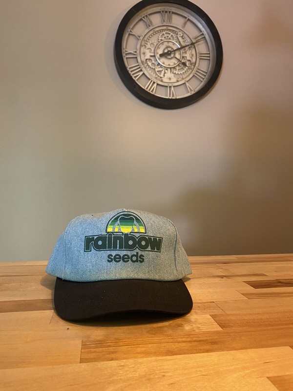 Vintage Denim Rainbow Seeds Iowa Soybean Tractor Farm Baseball Cap Hat