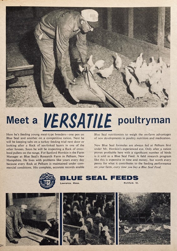 1961 AD.(XH58)~BLUE SEAL FEEDS, LAWRENCE, MASS. & RICHFORD, VERMONT