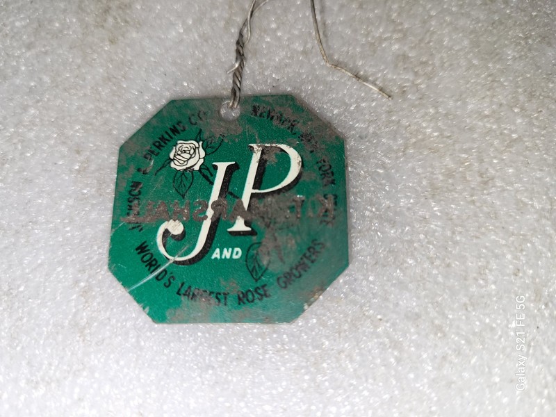 Vintage Jackson & Perkins K T Marshall Hybrid Tea Metal Plant Tag #1 gallery