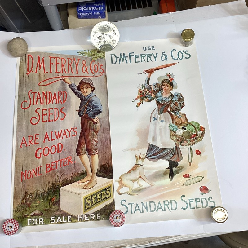 VTG Pair D.M. Ferry & Co’s. Standard Seeds Advertising Posters 1960’s Beautiful!