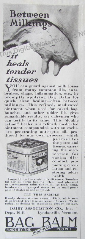 1932 Print Ad * Bag Balm Tin Kow Kare Dairy Assoc Lyndonville VT Heals Tissues