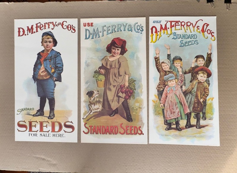 Vintage D.M. Ferry & Co. Standard Seeds Advertising Posters 1960’s