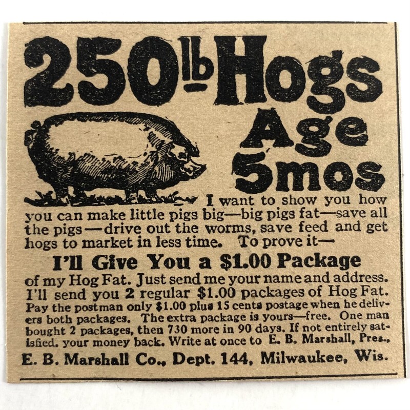 250 lb Hogs Antique 1927 Magazine Print Ad Old E.B. Marshall Pork Farm Milwaukee