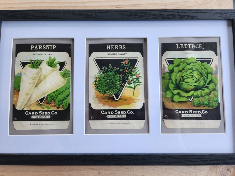 Framed 1920’s-30’s Vintage Seed Packets, Card Seed Co - Fredonia NY gallery