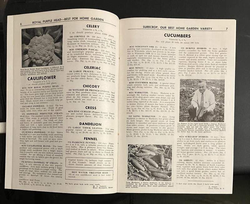 1960 Robson Quality SEED CATALOG Hall NY w/ original mailer and order form 35 Yr gallery