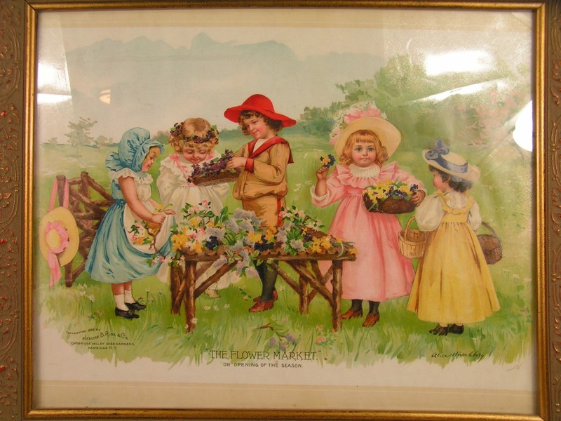 Orig 1895 Cambridge Valley Seed Gardens Jerome B. Rice & Co. "The Flower Market" gallery