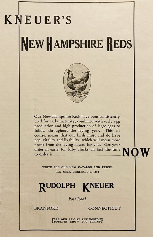 1934 AD.(XH82)~RUDOLPH KNEUER POULTRY FARM, BRANFORD, CONN. NEW HAMPSHIRE REDS