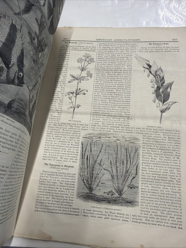 1869 American AGRICULTURIST August 186Original Paper, string binding FARMING USA gallery