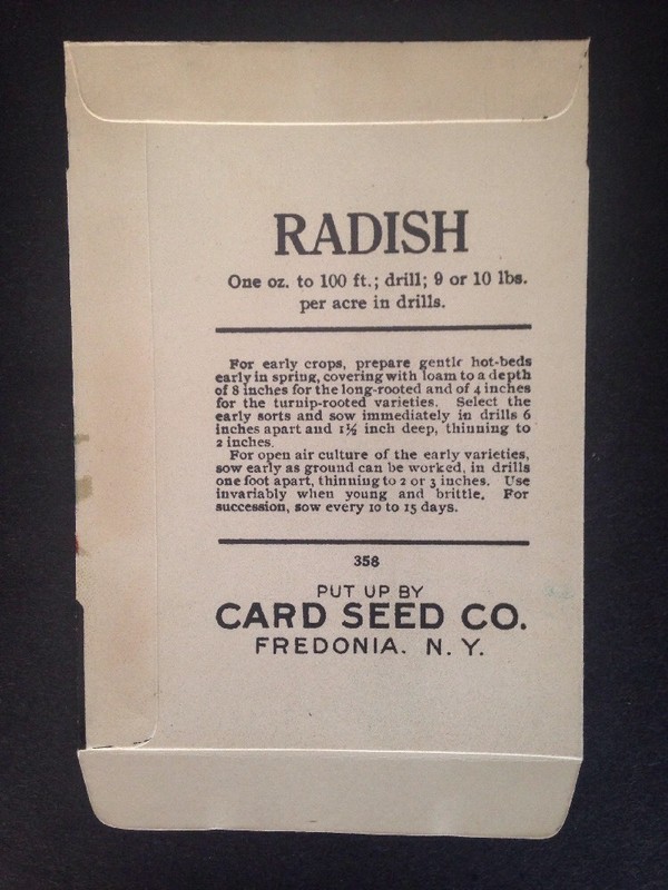 1930s Litho Antique Vintage Seed Packet Radish Long Scarlet Seed Co Pack Mint gallery