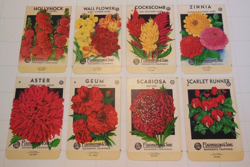 8 Vintage FLOWER SEED PACKETS (S60)-Schmidt Litho-Lagomarsino-3 1/4″ x 5″-Zinnia