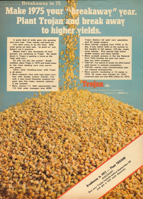 1974 XLARGE Print Ad of Pfizer Trojan Seed Co Hybrid Corn 1975 breakaway year