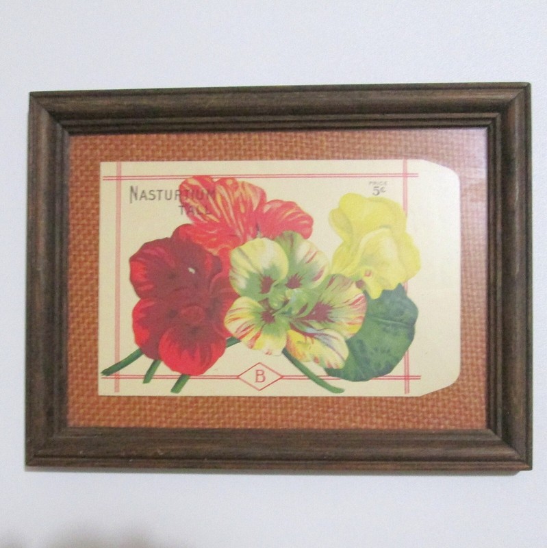 Vintage Framed Nasturtium Seed Packet 5 Cent The Plantation New Mexico gallery