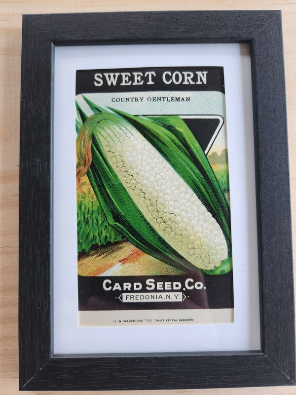 Framed 1920’s-30’s Vintage Seed Packets, Card Seed Co - Fredonia NY gallery