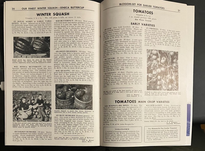 1960 Robson Quality SEED CATALOG Hall NY w/ original mailer and order form 35 Yr gallery