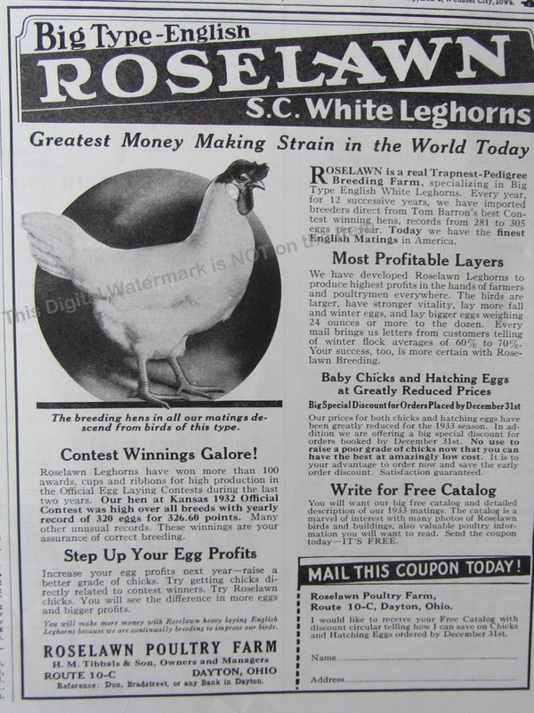 1932 Print Ad* Roselawn Poultry Farm S.C. White Leghorns Breeding Hens Dayton OH