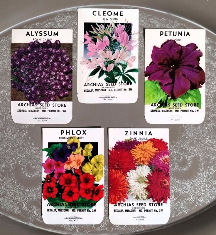 Lot: 5 Vintage Unused Lithographed Flower Seed Packets; Schmidt Litho Co. NOS