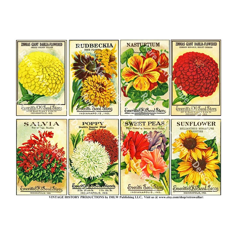 Seed Packet & Gardening Gifts, Garden Sticker Reproductions, Vintage Seed Art gallery