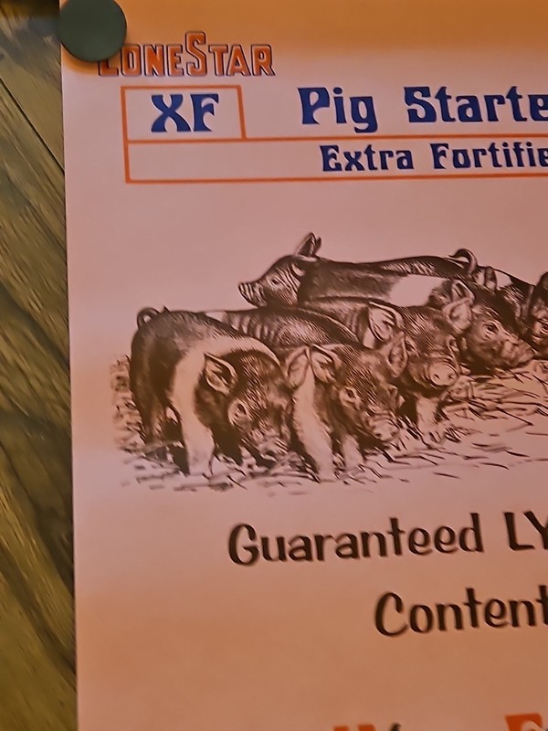 Vintage Advertising LoneStar Pig Starter 20x14 Pink Paper gallery