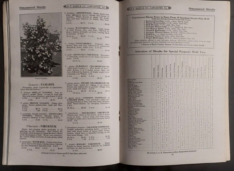 1924 Barr's Nursery Catalog BF Barr Lancaster Ornamental Trees Shrubs Perennials gallery