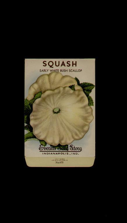 1940’s ANTIQUE SQUASH LITHO SEED PACKET- EVERITT’S SEED, INDIANAPOLIS,IND