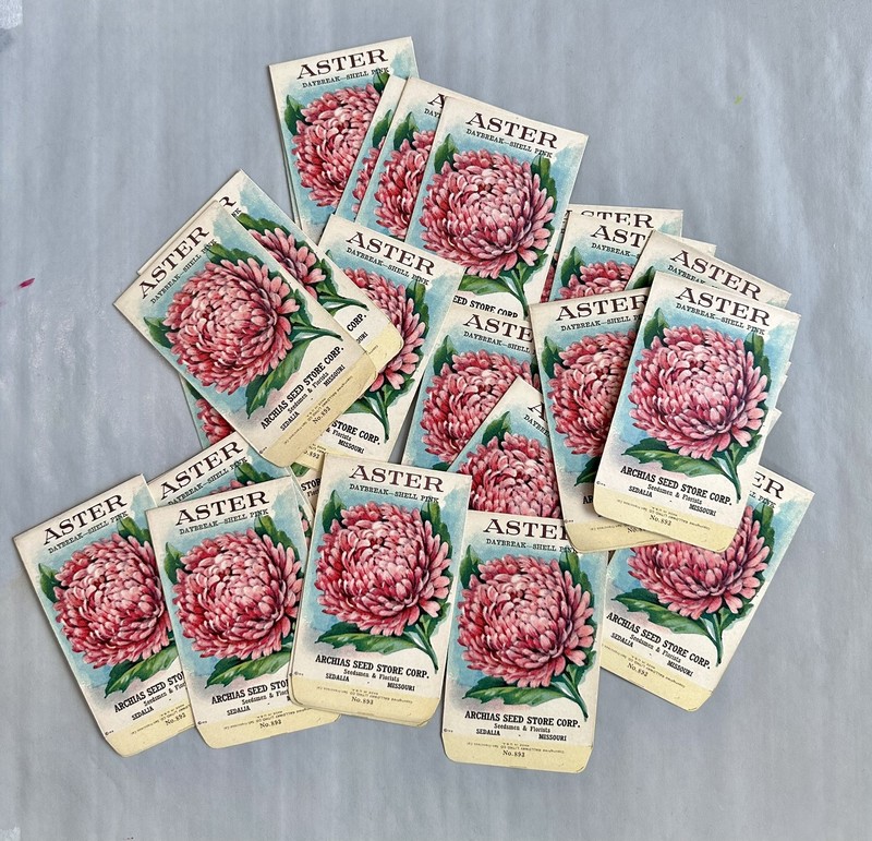 1918 Archias Empty Seed Packets Aster Daybreak Shell Pink Sedalia MO gallery