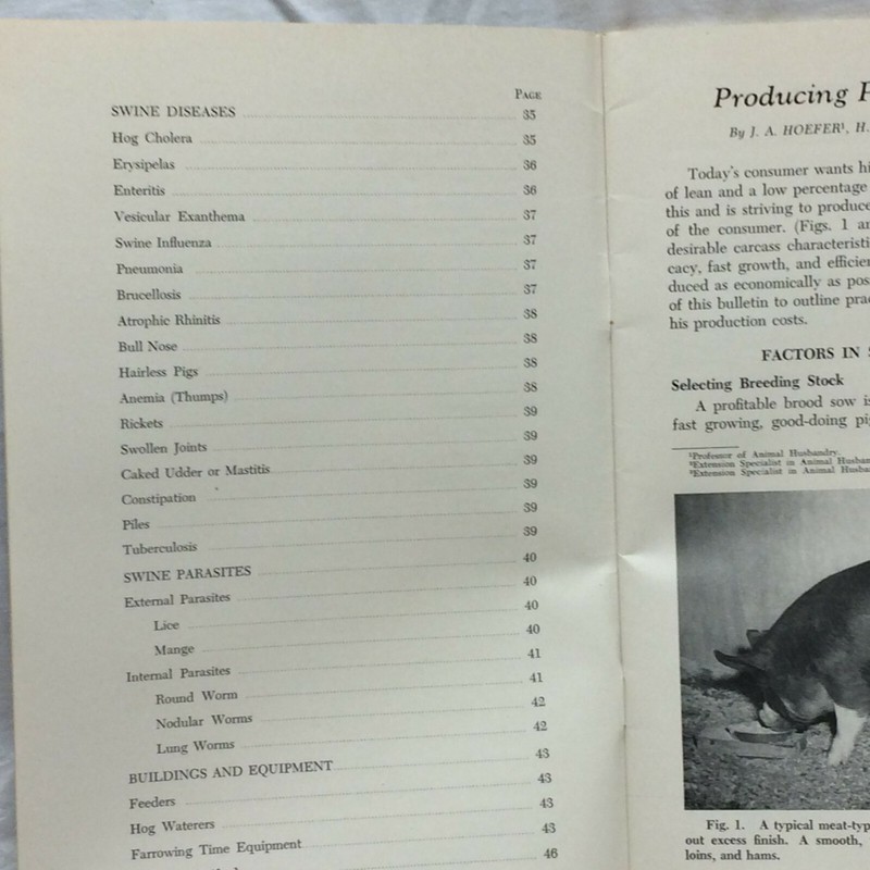 Vintage 1955 Booklet Producing Pork in Michigan By Michigan State University gallery