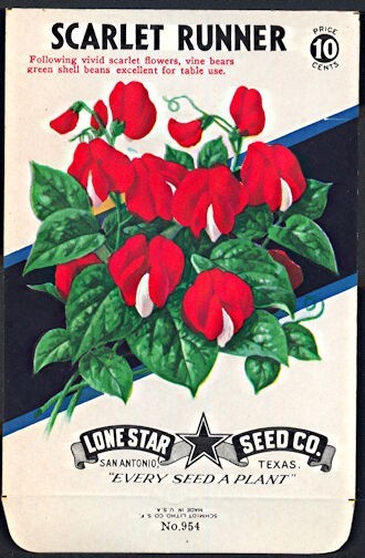 Flower Seed Pack Empty Lone Star Vintage 1950s Scarlet Runner San Antonio TX