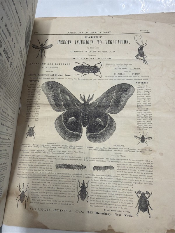 1869 American AGRICULTURIST August 186Original Paper, string binding FARMING USA gallery