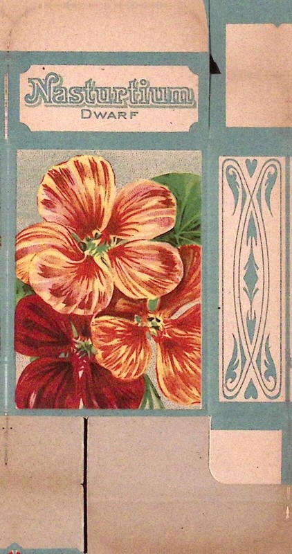 1910s Dwarf Nasturtium Flower Seed Box ORIGINAL UNUSED Empty Flat