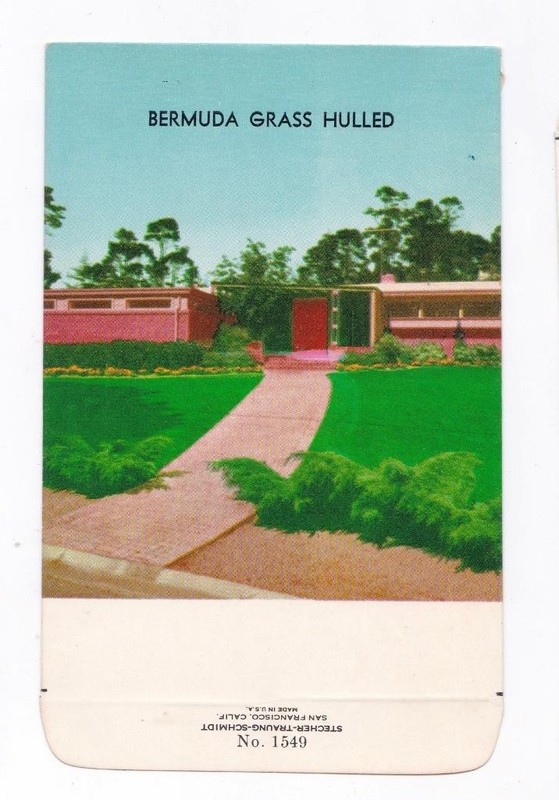 NOS Vintage SEED Packet Empty BERMUDA GRASS Stechen Traung Schmidt LITHO