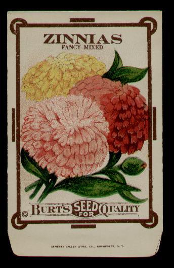 1910’s BURT’S ZINNIAS ANTIQUE LITHO SEED PACKET ~L@@K~