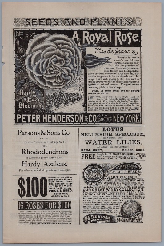 1891 Peter Henderson & Co Vintage Ad Mrs de Graw Royal Rose Flower Nursery NY